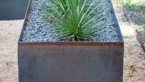 donica corten
